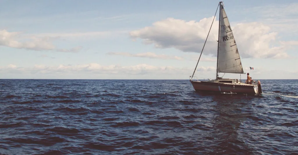 découvrez l'excitation du land sailing, une activité sportive alliant voile et vitesse sur terre. parfait pour les amateurs de sensations fortes et de plein air.