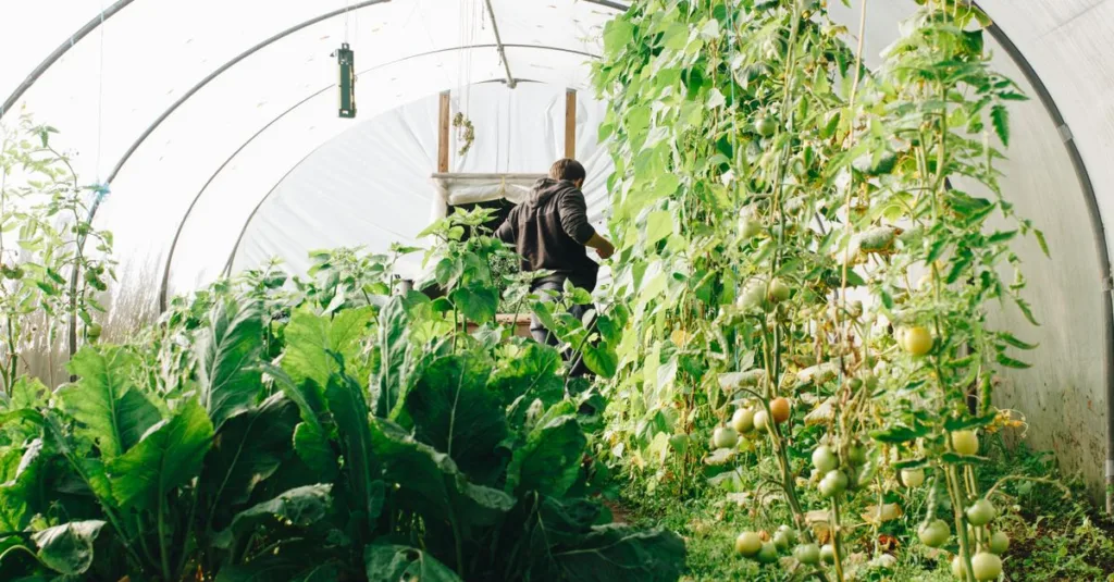 découvrez les pratiques agricoles écologiques innovantes qui allient respect de l'environnement et performance pour un avenir durable.